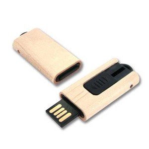 Pen Drive Ecológico Retrátil 4gb PEC10