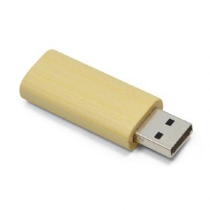 Pen Drive Ecológico Com Tampa 8gb PECO4