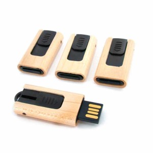 Pen Drive Ecológico Retrátil - PEC